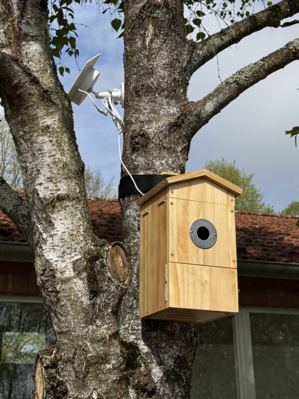 Nistkasten an Baum im Garten der Grundschule